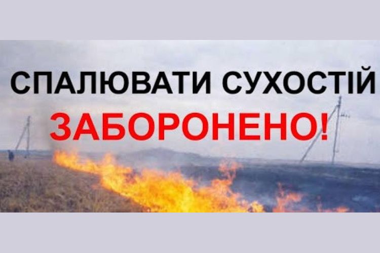 Трава