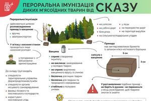 Сказ