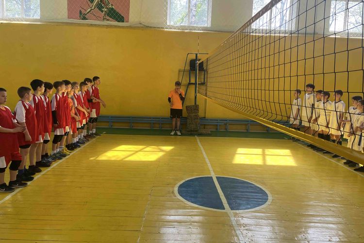 волейбол