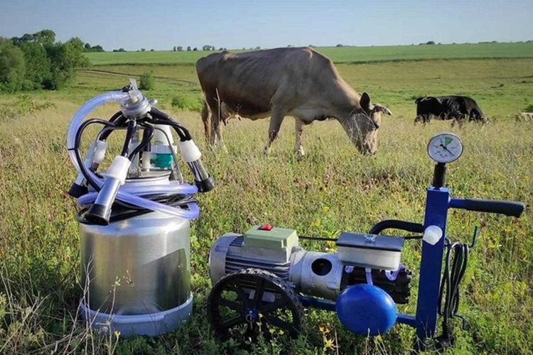 установки індивідуального доїння