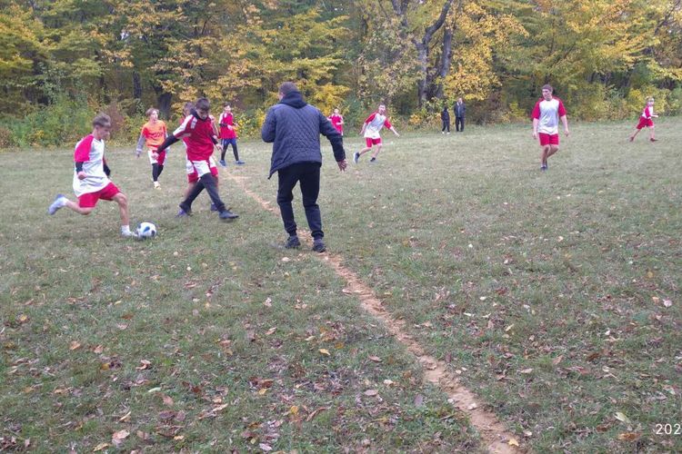 чемпіонати