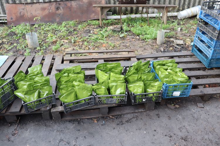 Команда Незламних