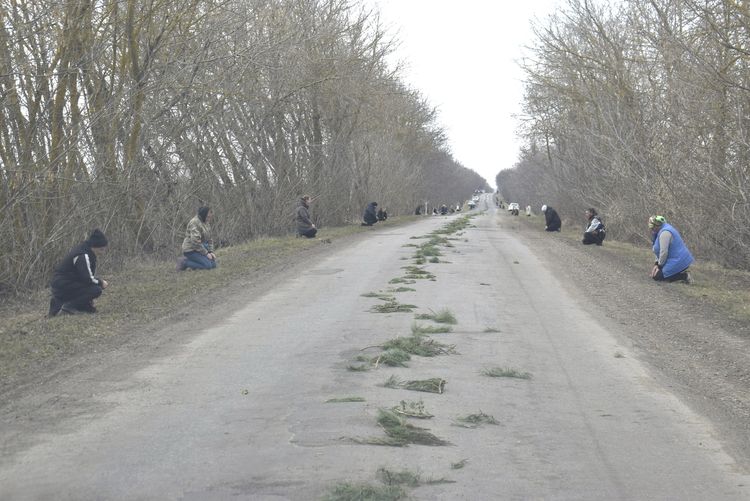 Зі сльозами