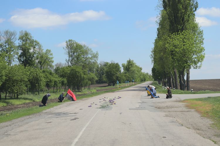 На «щиті»
