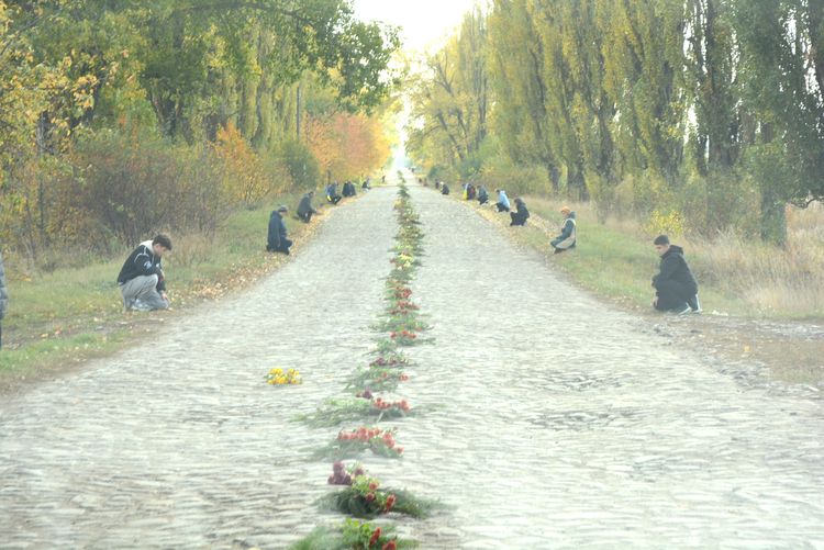 Родино, не плач, не болить вже нічого