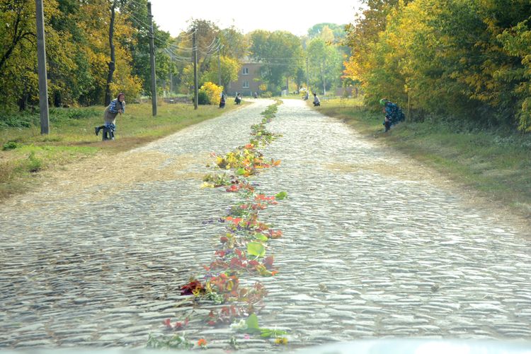 Родино, не плач, не болить вже нічого